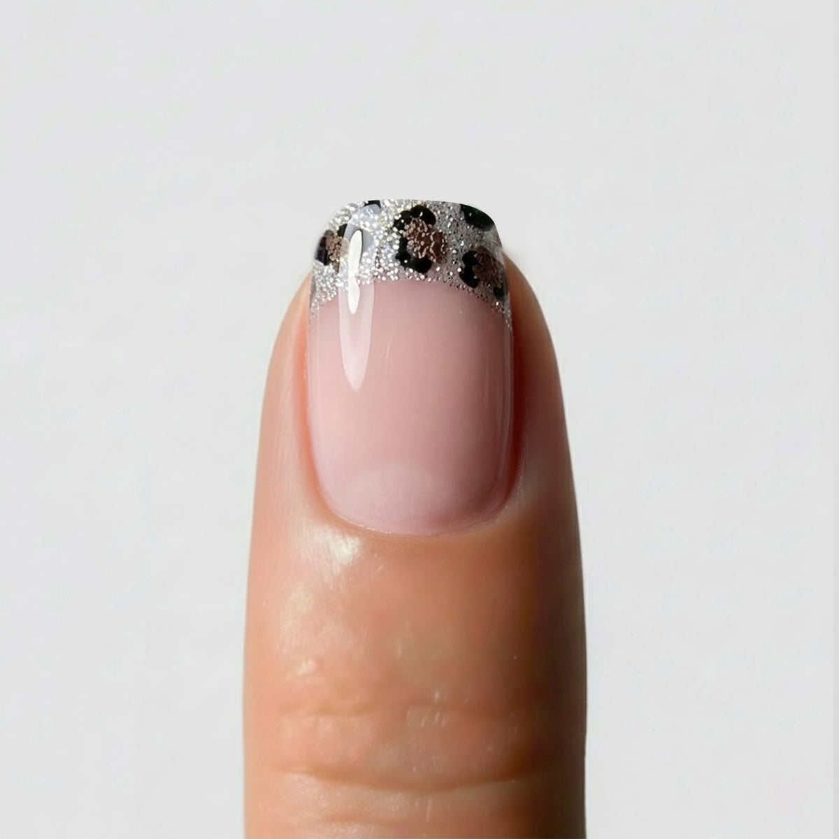 French Leopard