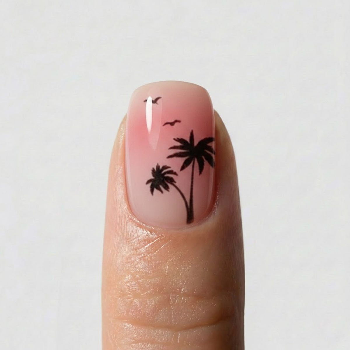 Palm Beach