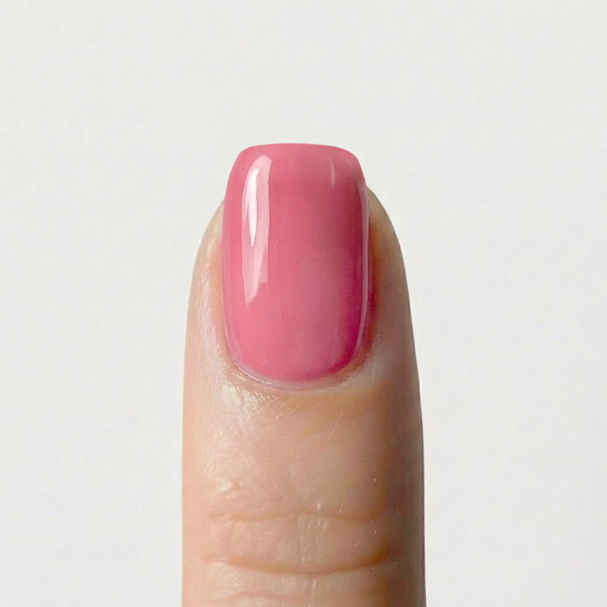 Pink Jelly