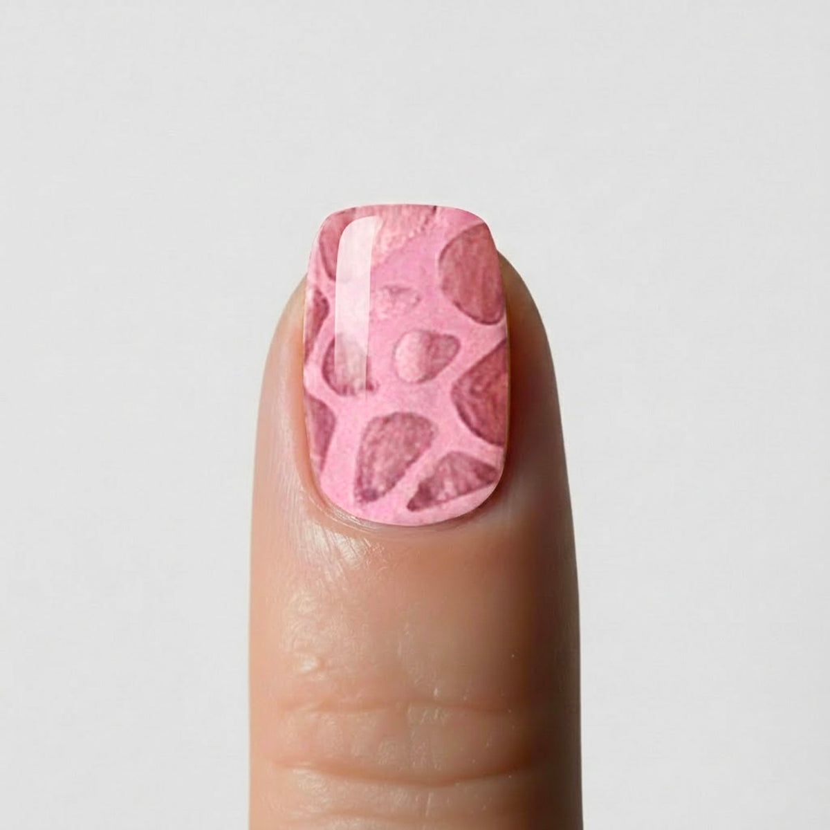 Pink Safari