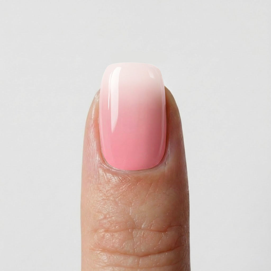 Rose Blanc ombré