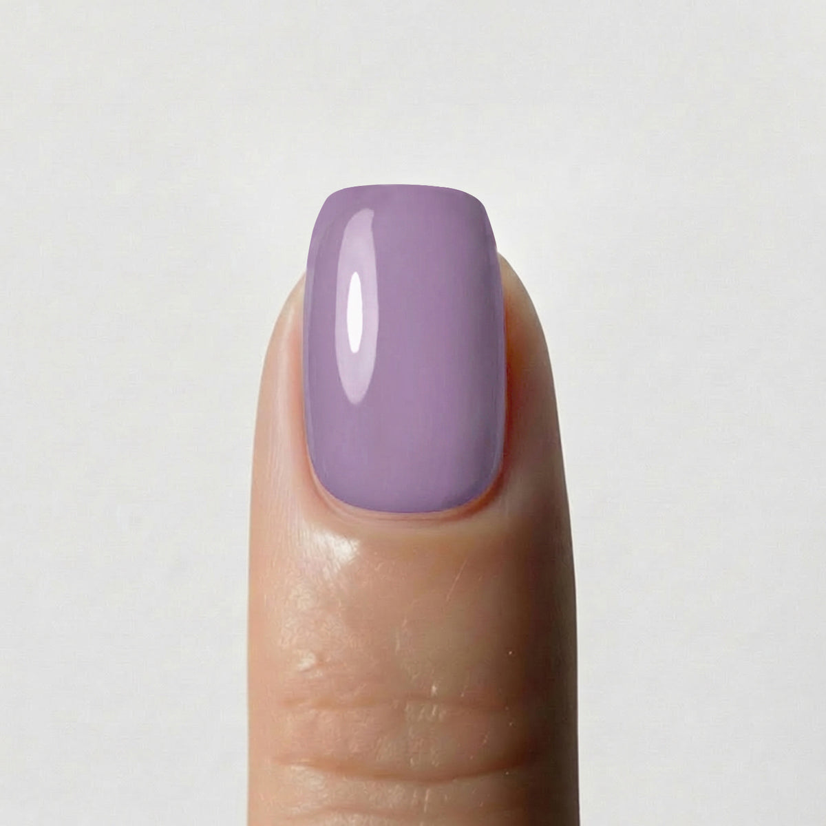 Solid Mauve