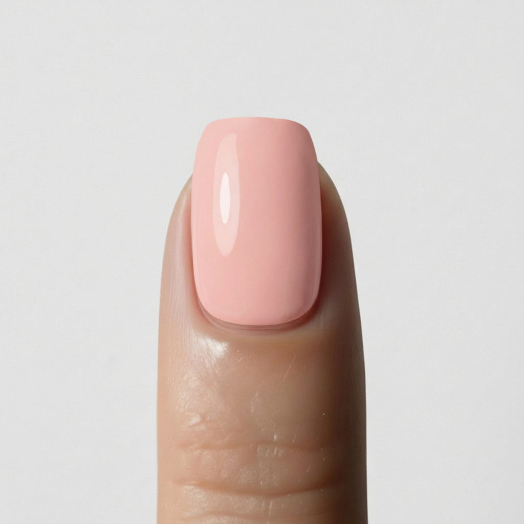 Solid Rose Corail