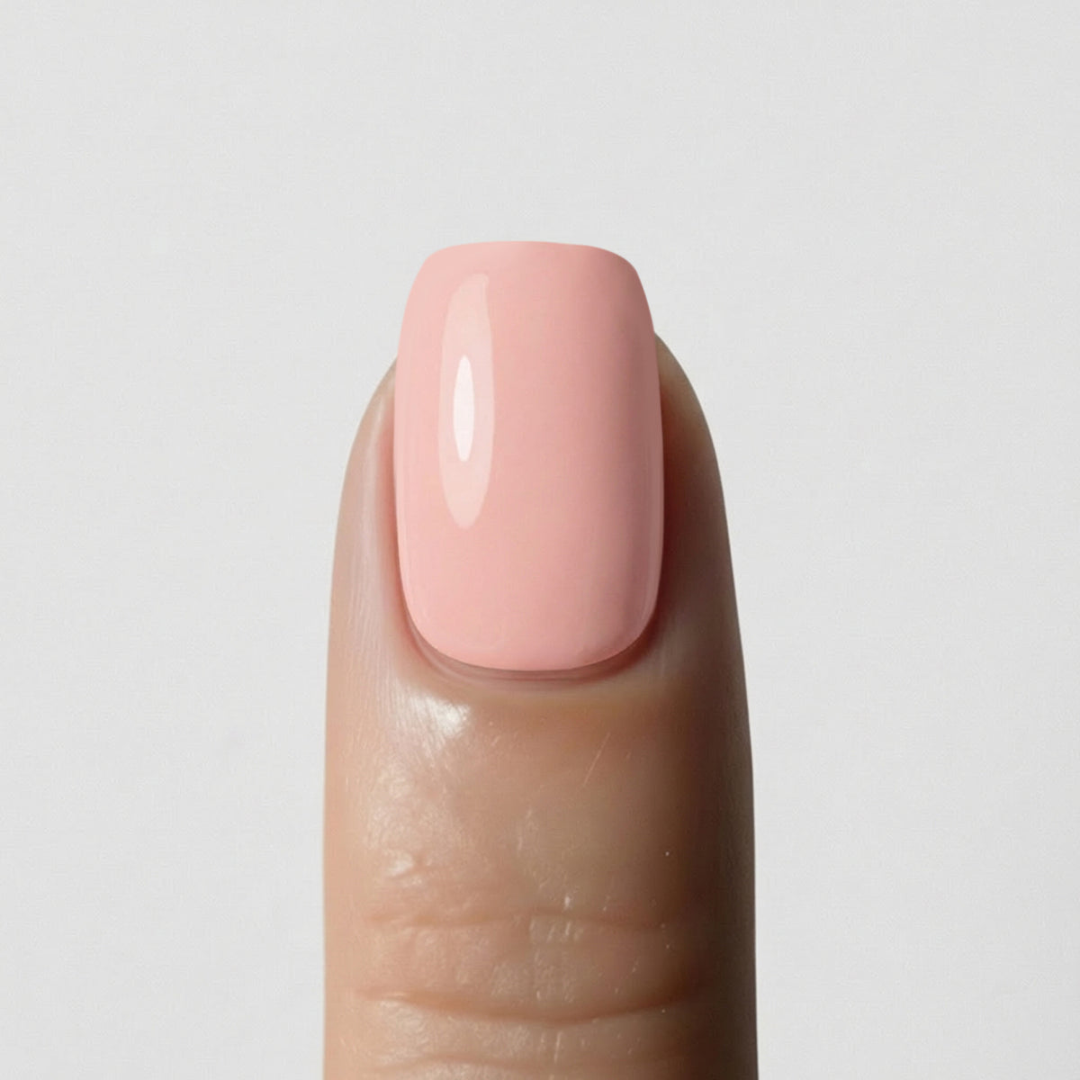 Solid Rose Corail