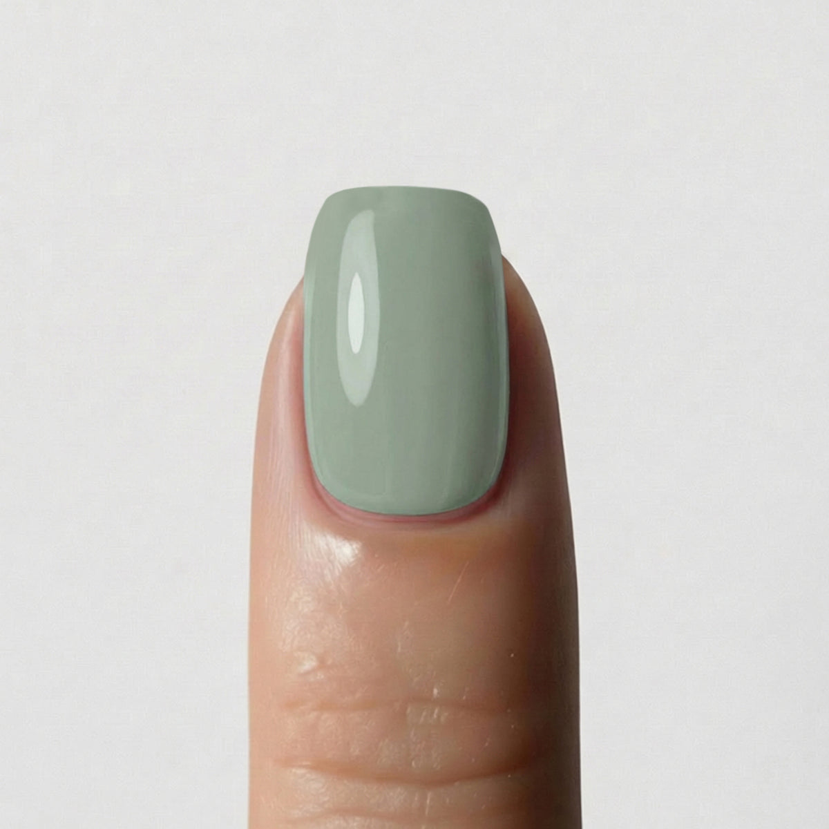 Solid Sage green