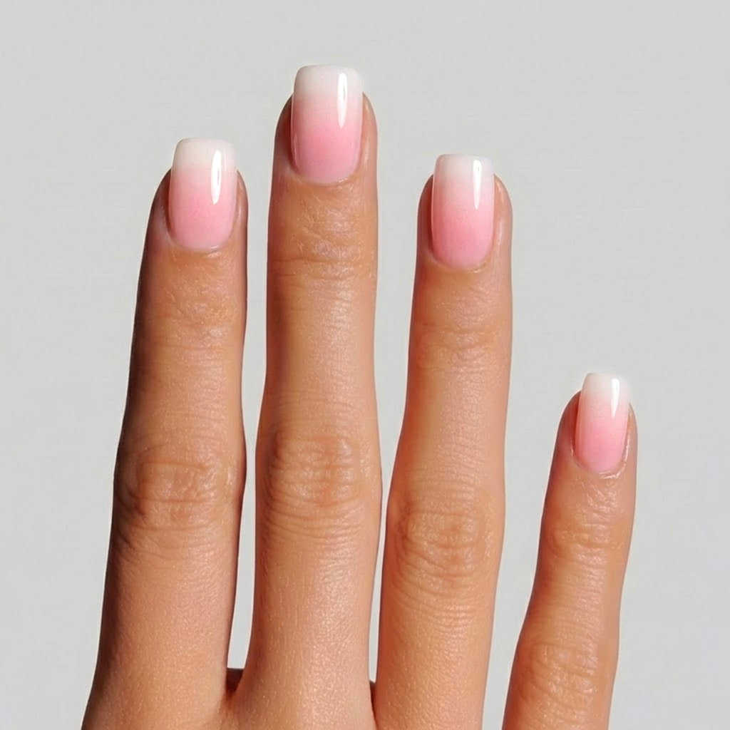 Rose Blanc ombré