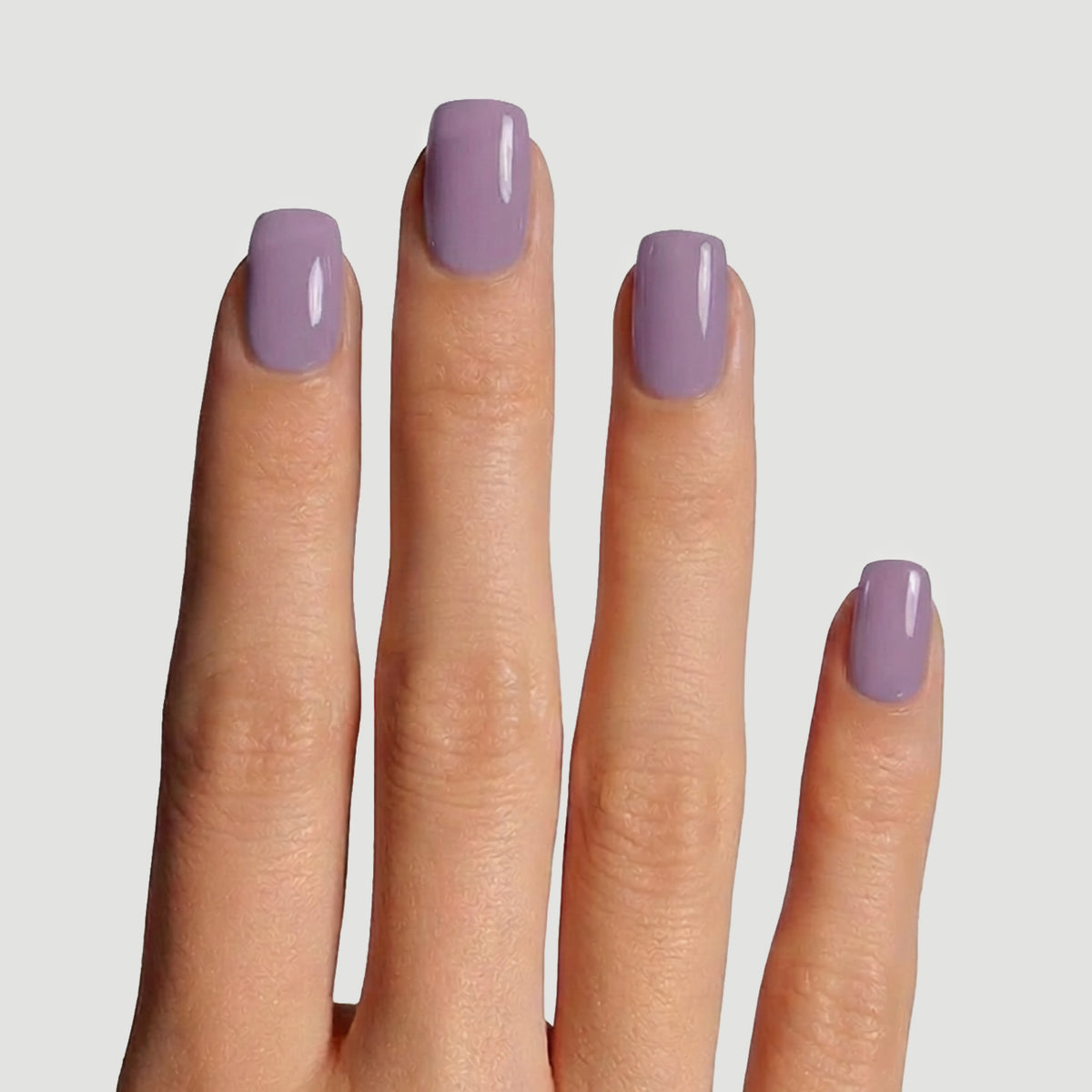 Solid Mauve