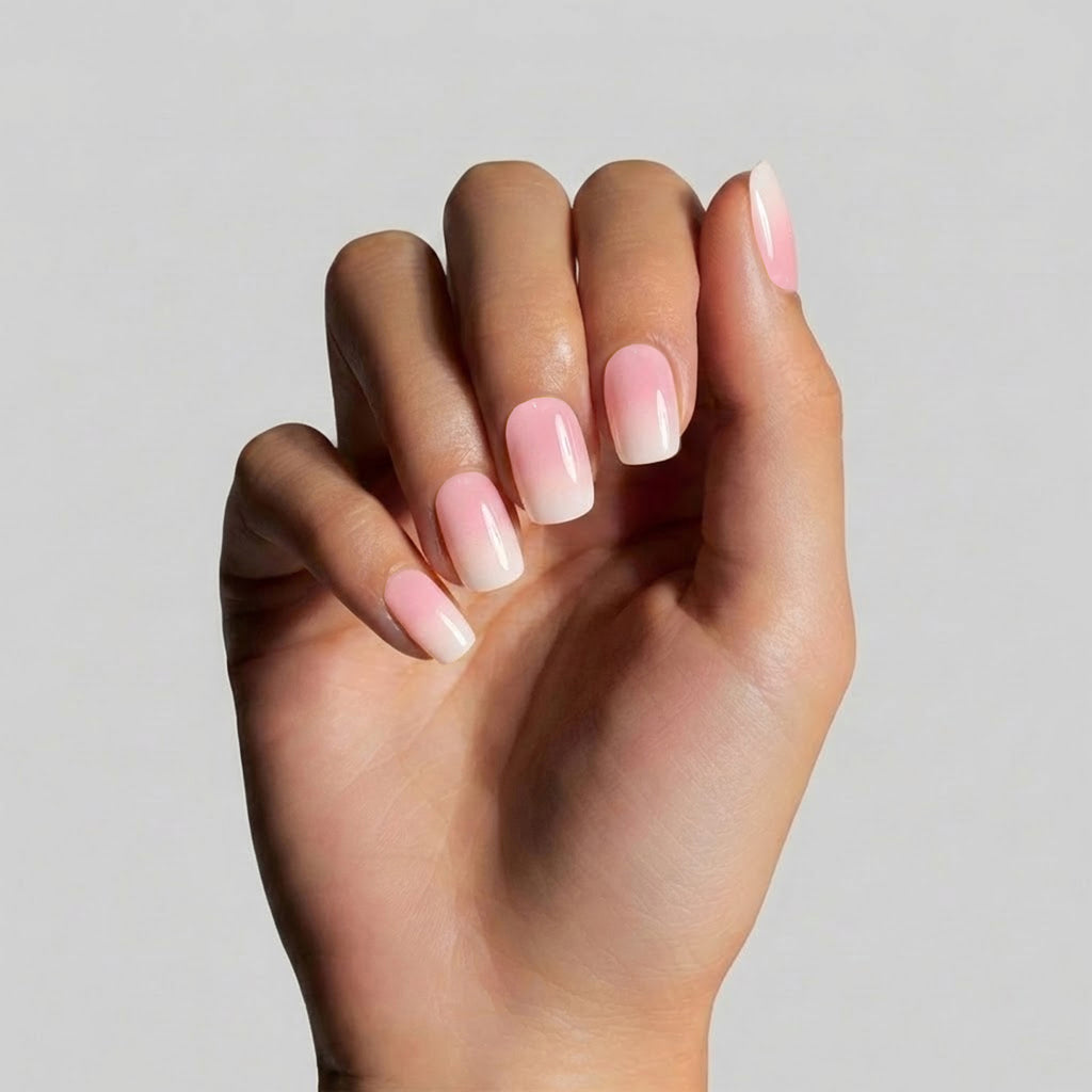 Rose Blanc ombré