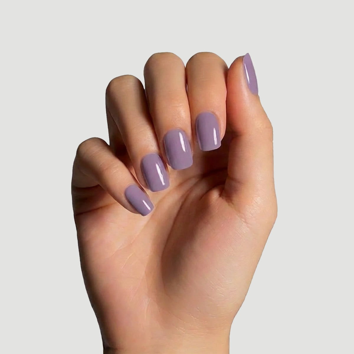 Solid Mauve
