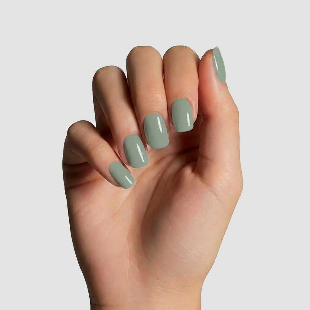 Solid Sage green