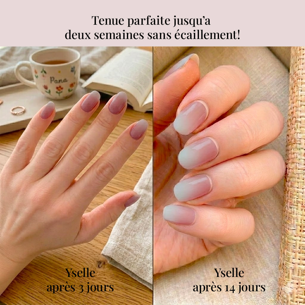 Yselle - Kit de démarrage